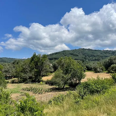 Katerina Appartement Agios Georgios Pagon